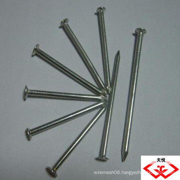 common nail (Manufacturer)